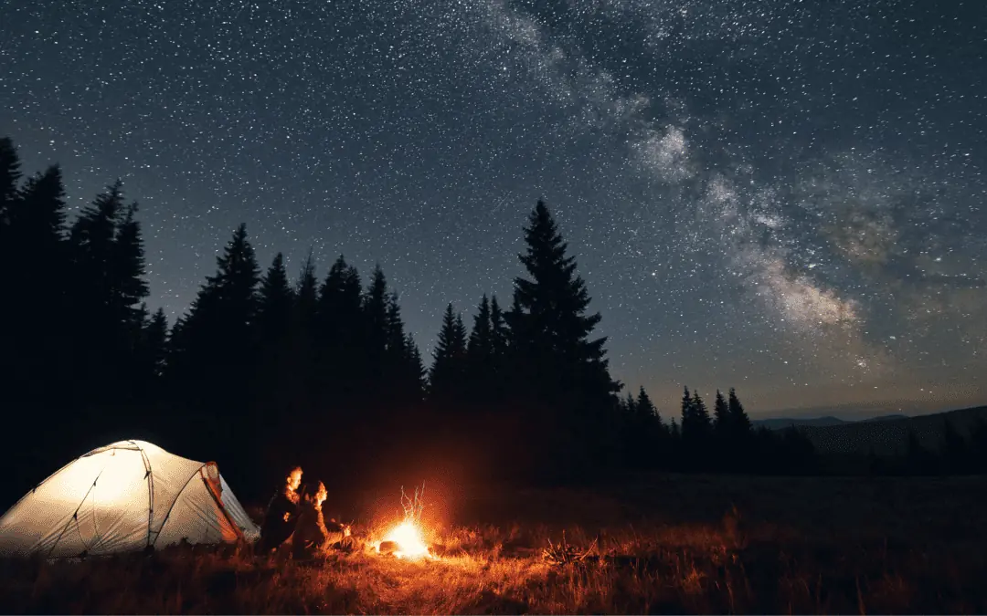 Campfires and Calculations: Why Camping, Wolves, and Financial Planning Make the Perfect Mix