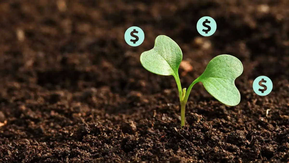 A sprout planted on soil with dollar signs